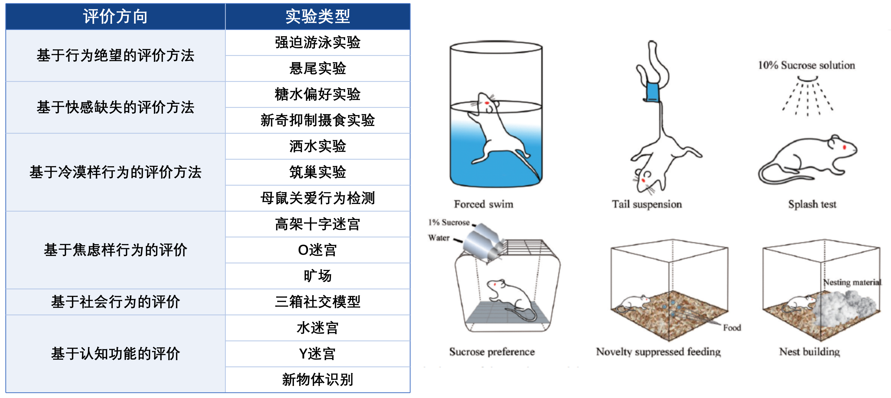表格一(1).png