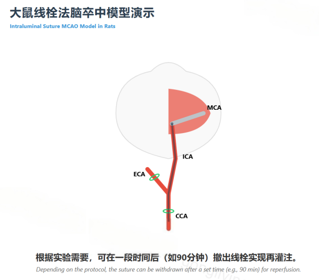 圖1.png