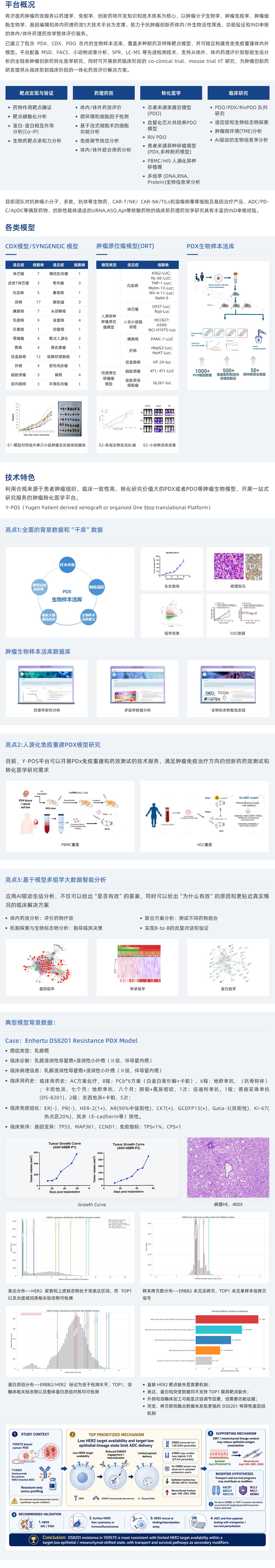 技術服務（藥效學研究服務）腫瘤藥效學研究服務.jpg